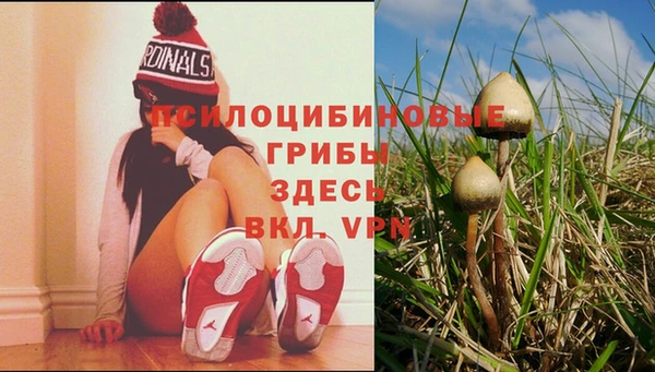 apvp Беломорск