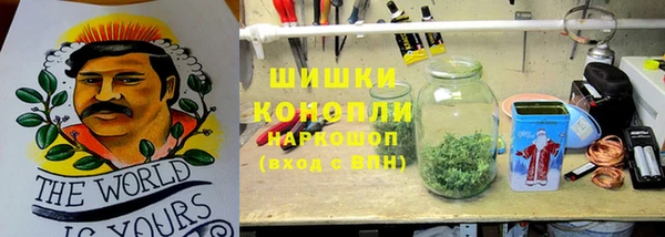 ECSTASY Строитель