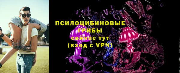 ECSTASY Строитель