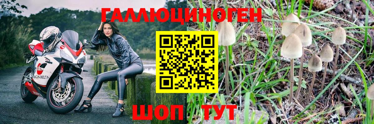 Псилоцибиновые грибы мухоморы  Вход с VPN  Гай  Псилоцибиновые грибы мухоморы 