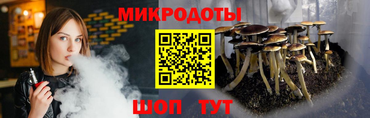 Галлюциногенные грибы Psilocybe Гай